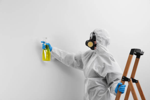 Best Commercial Mold Inspection  in USA